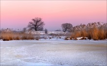 Oak. / [img]http://i053.radikal.ru/1402/25/94c6e4b44ad2.jpg[/img]
