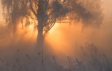Good morning! / ___