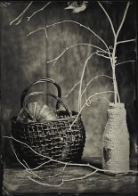 [16] / Ambrotype 13x18, f10, 30 s, Hugo Meyer trioplan 300/3.5