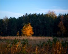 Autumn candle. / ***