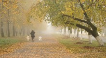 Verlassen Herbst / ***