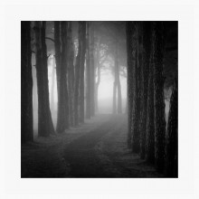 Square alley / ***