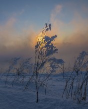 Misty Evening / ***