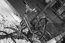 Der Leipziger Velosipeden / ***