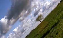 This horizon I flunked! ... / ***