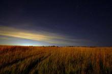 go out into the field at night ... I / ***