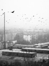 Yesterday's snow / ***