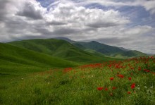 In anticipation of spring / ***