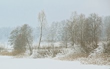 The January / ***