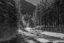 Psysh river ... / ***