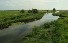 Modest rivulet of town / ***