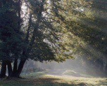 In the morning light / ***