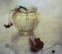 Maple Leaf ... / ...........................