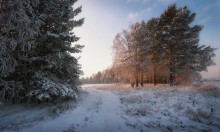 In the rays of the December sun ... / ***