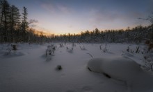 Pre-dawn ... / ***