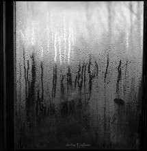 Linien / ***