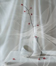 On a white .. / ...