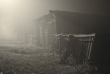 foggy evening / ***