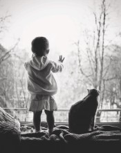 Fenster / ......