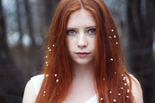Vampire / ***