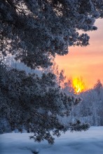 Dawn / ...............