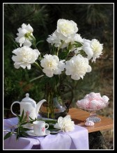 Spring mood ... / ***