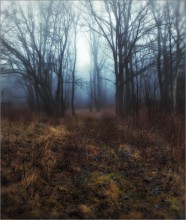 Paints a rainy morning / ***