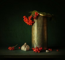 Still life / +++