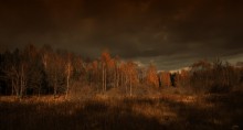 Autumn / +++