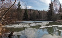 Shards of winter / ***