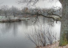 Silence / ***