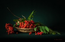 Autumn Still Life / +++