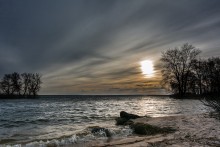 evening / ***
