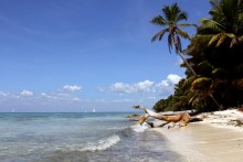 Insel &quot;Bounty&quot; / ***