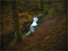 Glendalough in the thicket ... III ... / ***