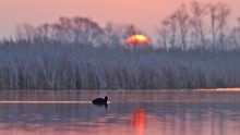 Photo of the day vihidnogo / ***