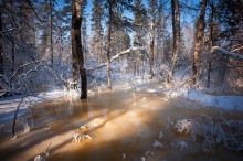 Frost and ice .. / ***