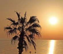 Hot sun of Africa / ***