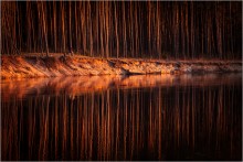 Evening rhythm / ***