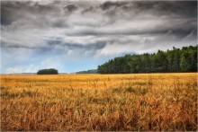 Nach dem Regen / ***