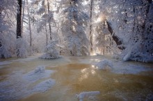 Ice and sun .. / ***
