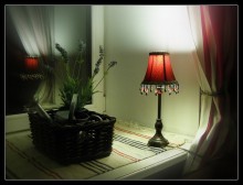 in light of a lamp / ***