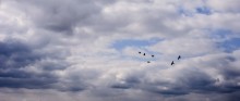 Sky / ***