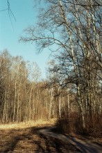 Spring has come / ***
