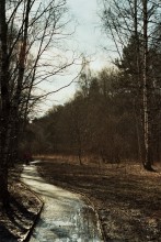 On the roads of life / ***