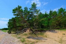 Baltic landscape / 24-70 f2,8