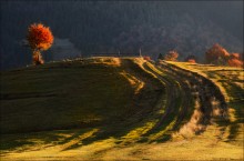 / Autumn etude / / ***