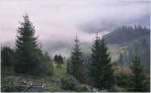 Milky soft mist beckons ... / ***