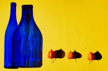 Bright still life / ............