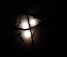 Moon game of tic-tac-toe / ***